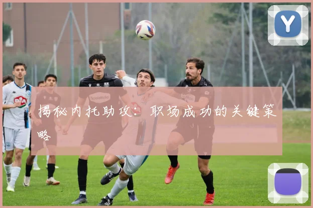 揭秘内托助攻：职场成功的关键策略